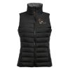 SOL'S Ladies Wave Bodywarmer Thumbnail